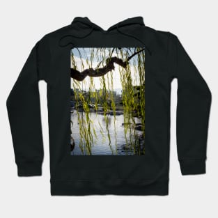 Japanese Garden Woodley Park California 2 Hoodie